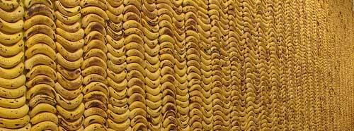 Banana Wall