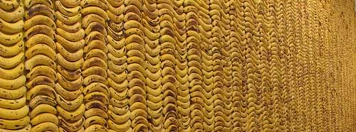 Banana Wall